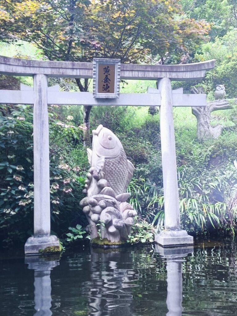 鯉と鳥居